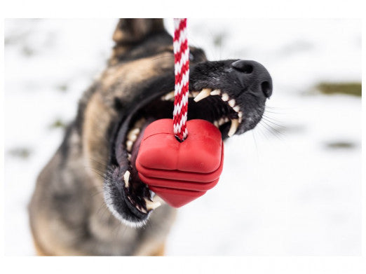 SodaPup Srdíčko s provázkem na přetahování, Original - Červené