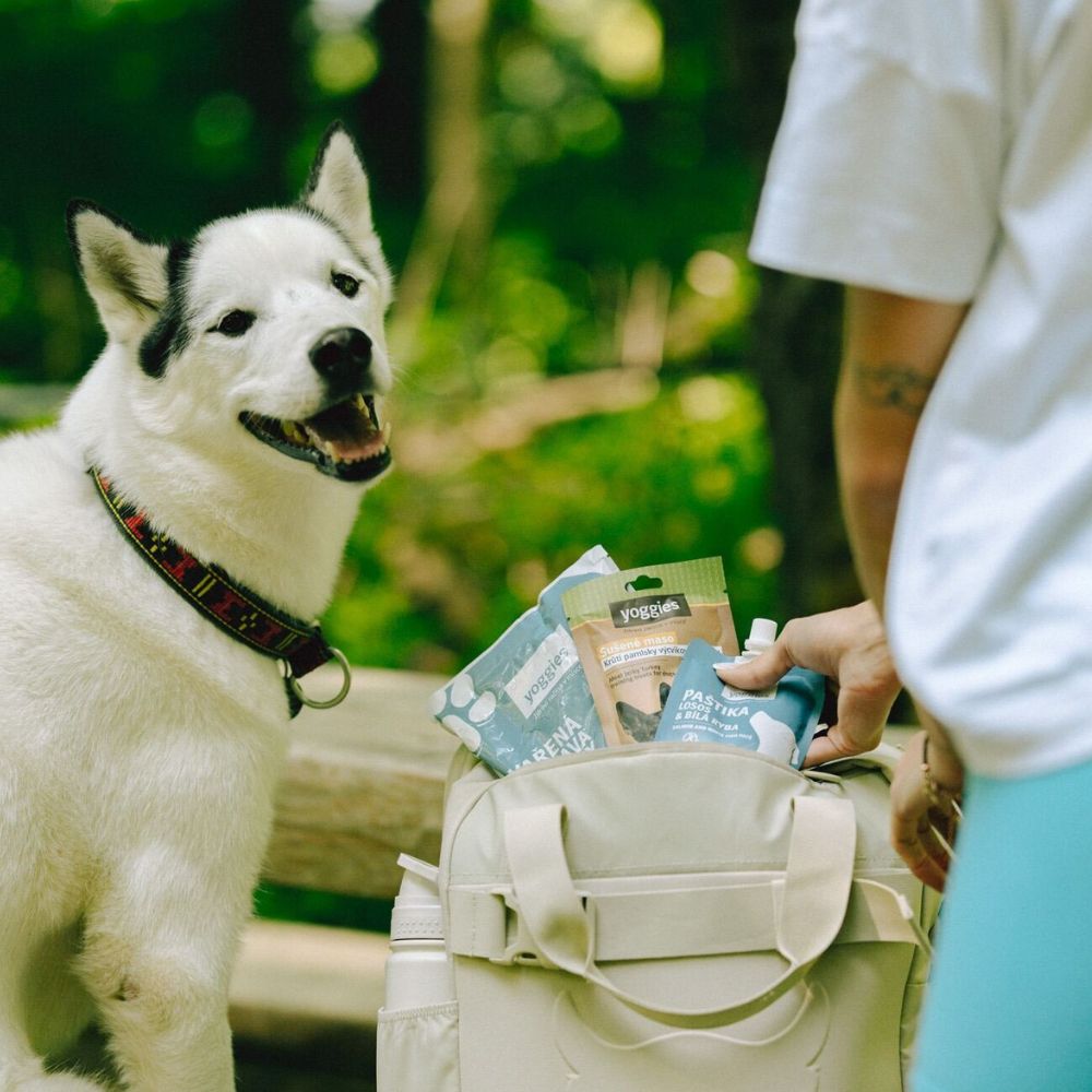 Hypoalergenní balíček na výlet pro velkého psa – bez misky