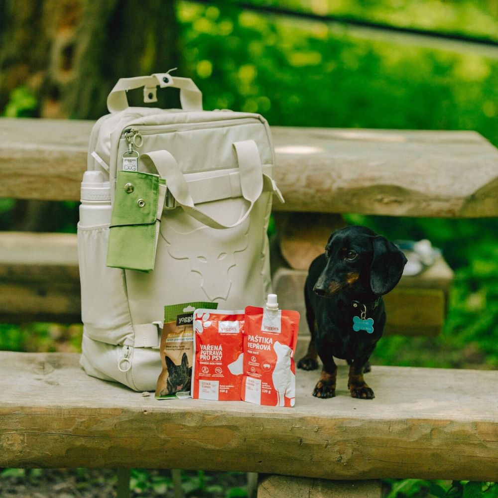 Hypoalergenní balíček na výlet pro malého psa – bez misky