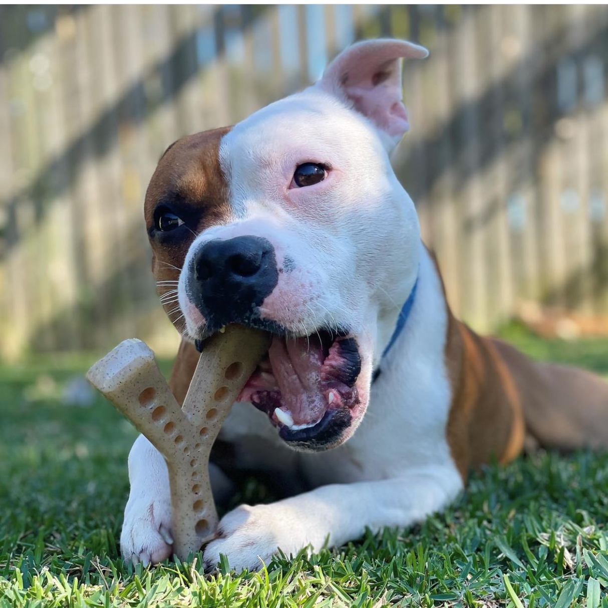 SodaPup Nylonová žvýkací odolná - světle hnědá