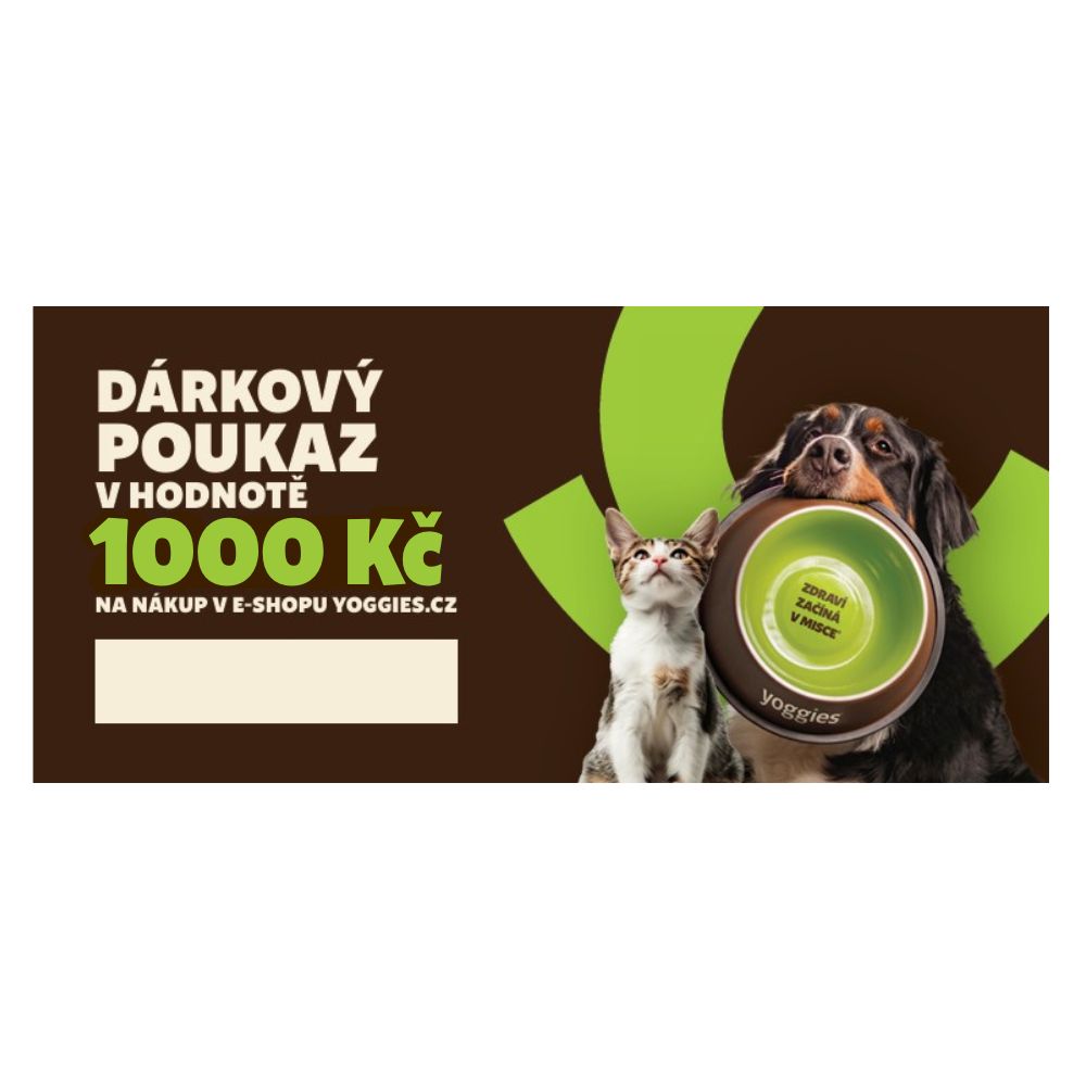 Dárkový poukaz v hodnotě 1 000 Kč
