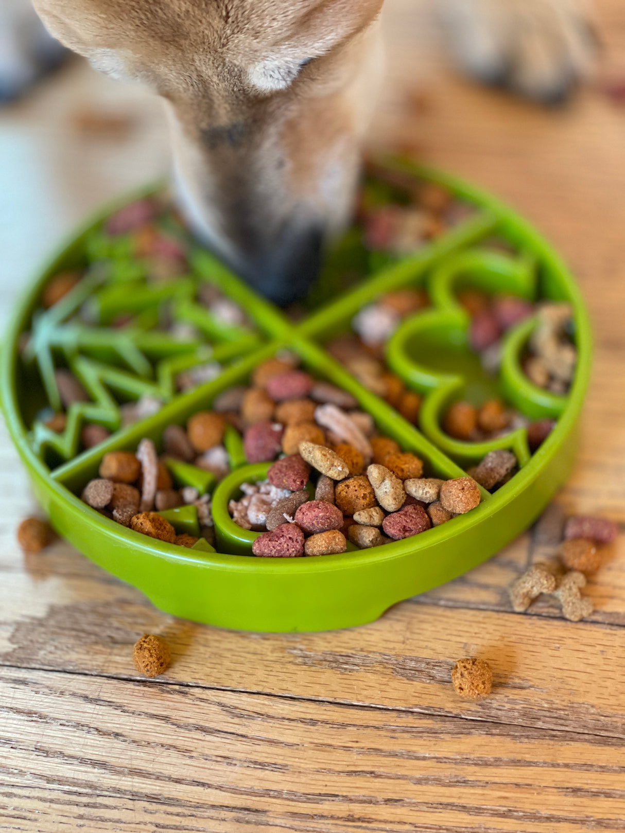 SodaPup Čtvero ročních období, senzorická miska - zelená