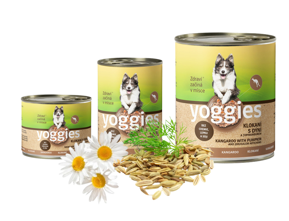 5+1 Yoggies Klokaní konzerva s dýní a topinamburem 200 g