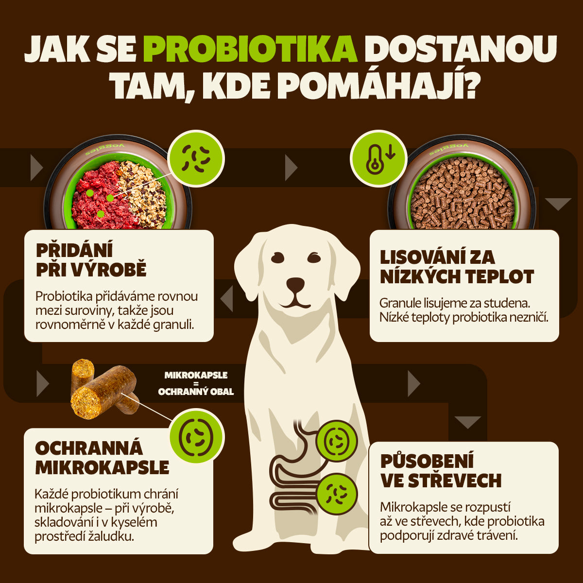 2 kg Yoggies VET Veggie bez masa, granule lisované za studena s probiotiky