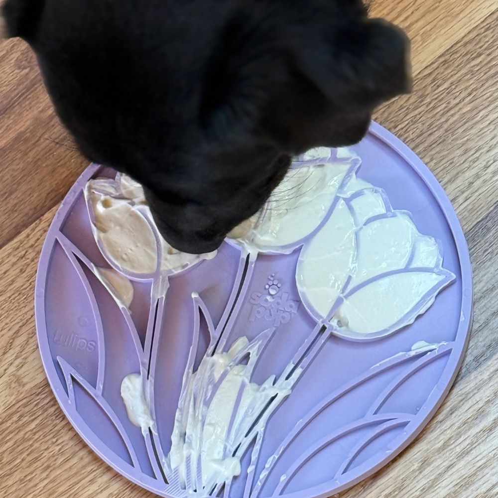 SodaPup lízací podložka s přísavkami Tulipány - fialová