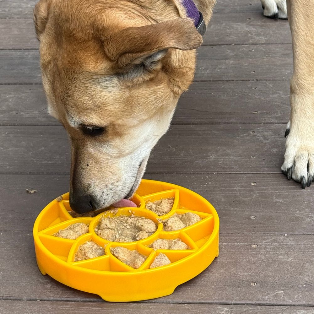 SodaPup senzorická miska - Slunečnice, žlutá