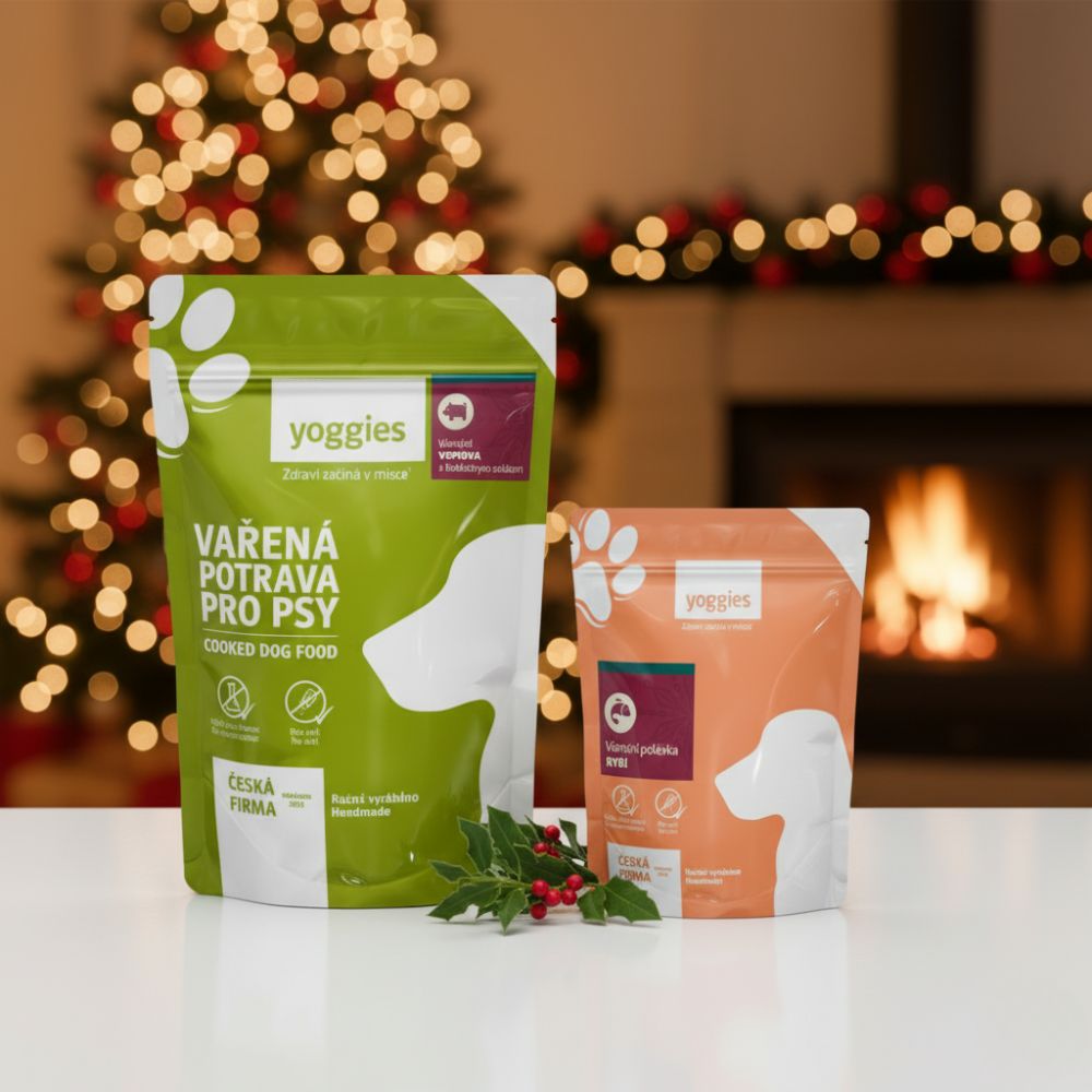 5+1 Zdarma Yoggies Vánoční rybí polévka s treskou 150 g