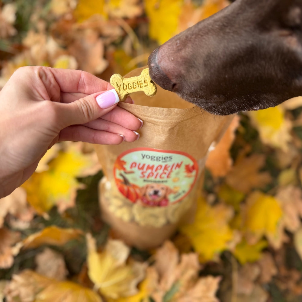 Pumpkin spice suchary, 500 g