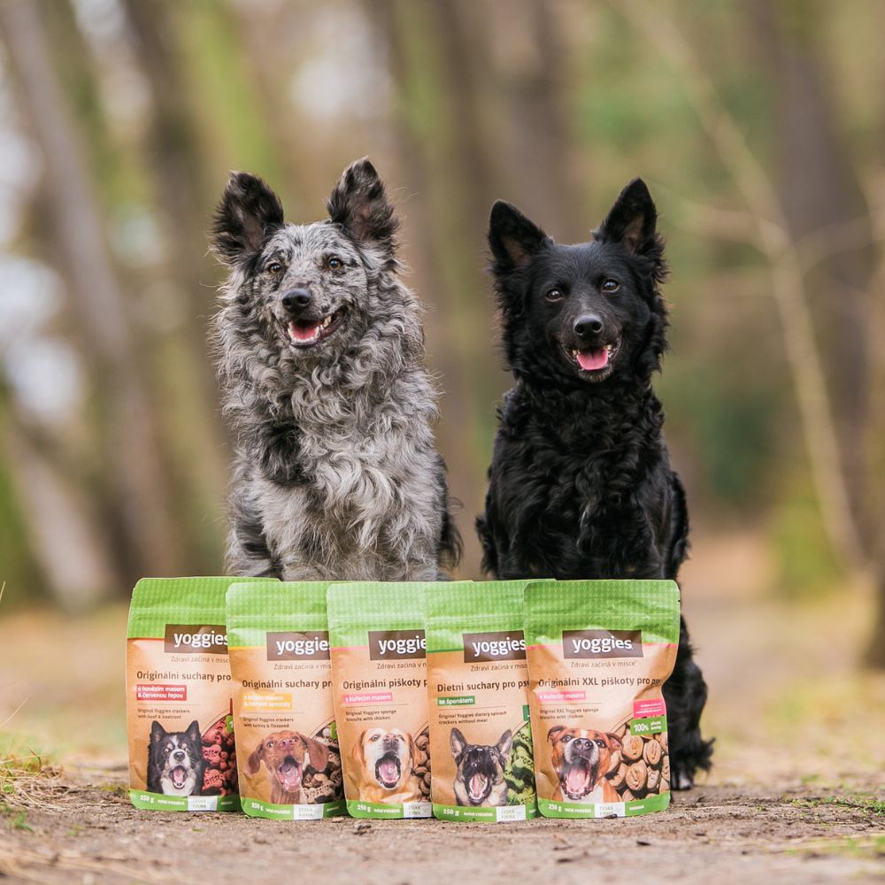 Yoggies suchary s lososem a mrkví 150 g