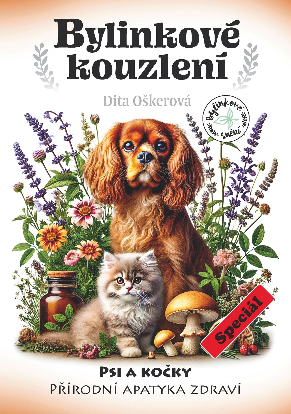 Bylinkové kouzlení: Přírodní apatyka zdraví