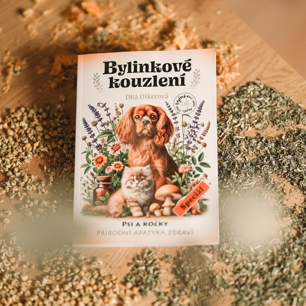 Bylinkové kouzlení: Přírodní apatyka zdraví