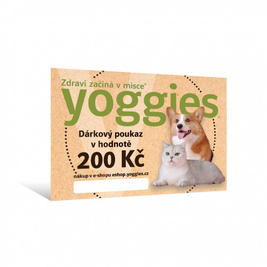 Dárkový poukaz v hodnotě 200,- Kč