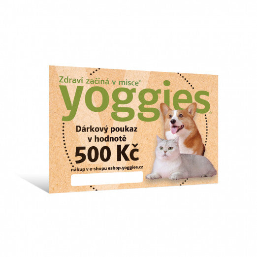 Dárkový poukaz v hodnotě 500,- Kč