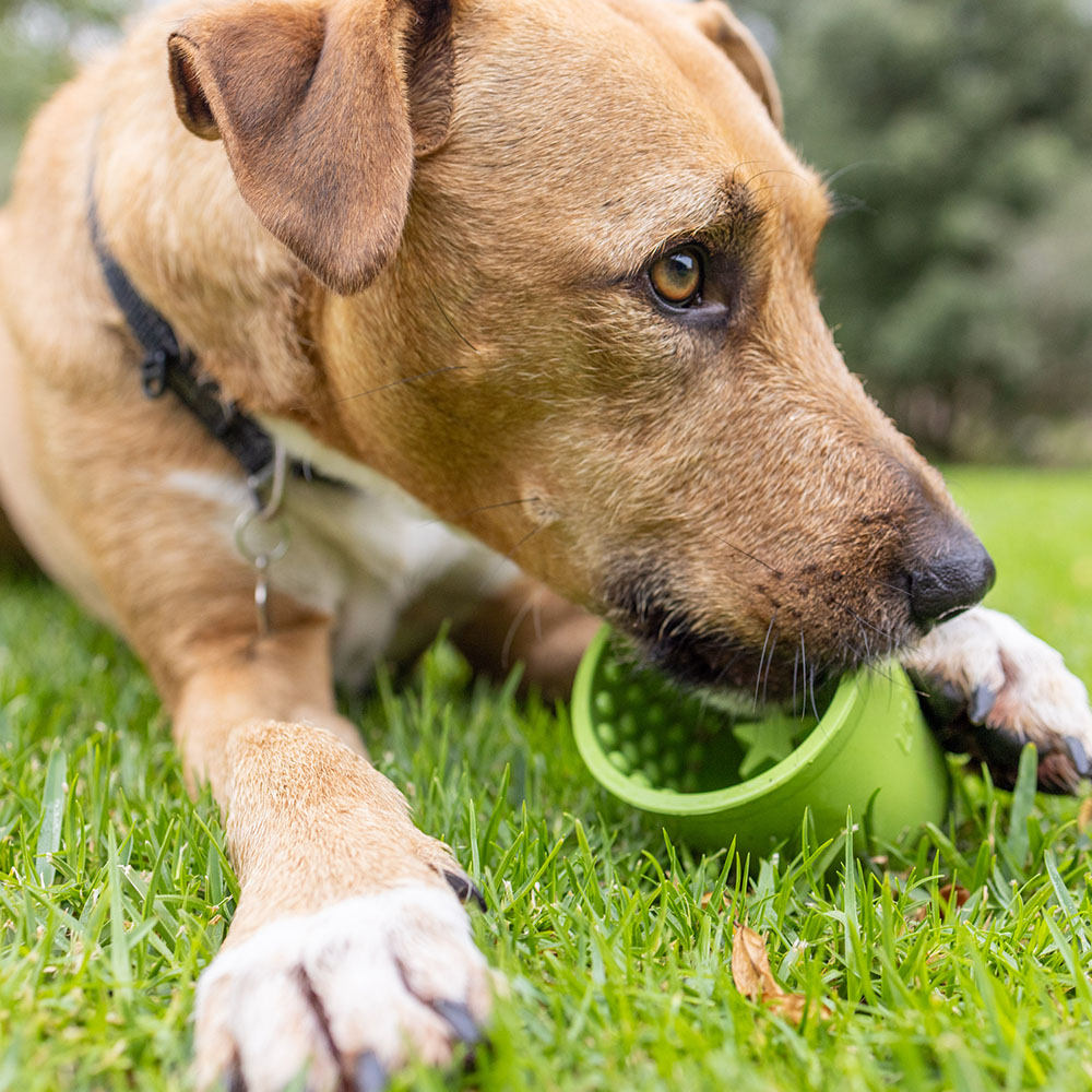 LickiMat Lízací miska Yoggie Pot Green