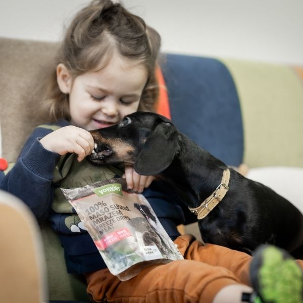 Yoggies Mrazem sušená hovězí játra (lyofilizovaná) 85 g