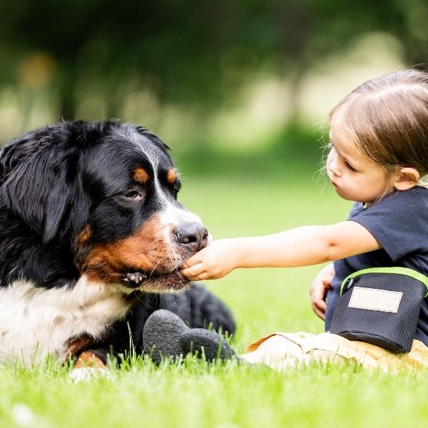 Yoggies Mrazem sušené vepřové maso (lyofilizované) 85 g