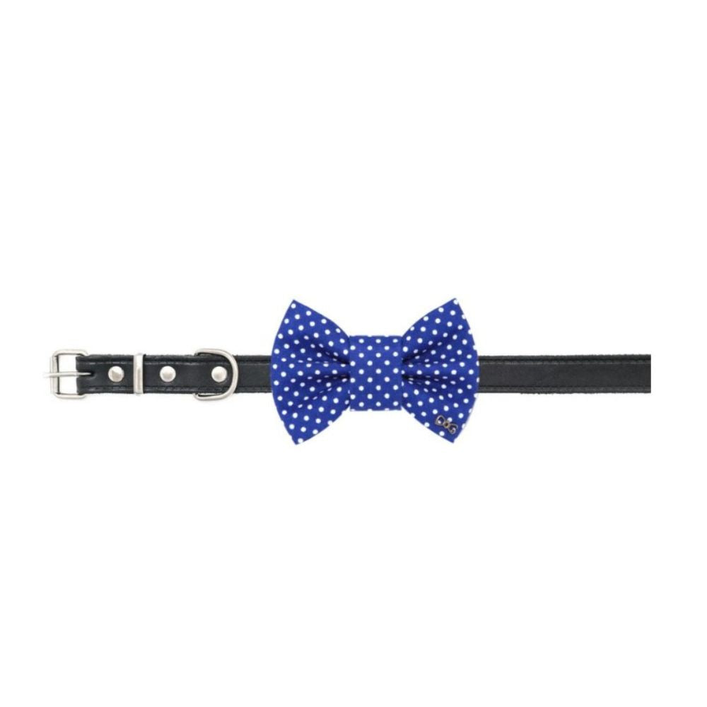 Modrý motýlek s puntíky pro psa