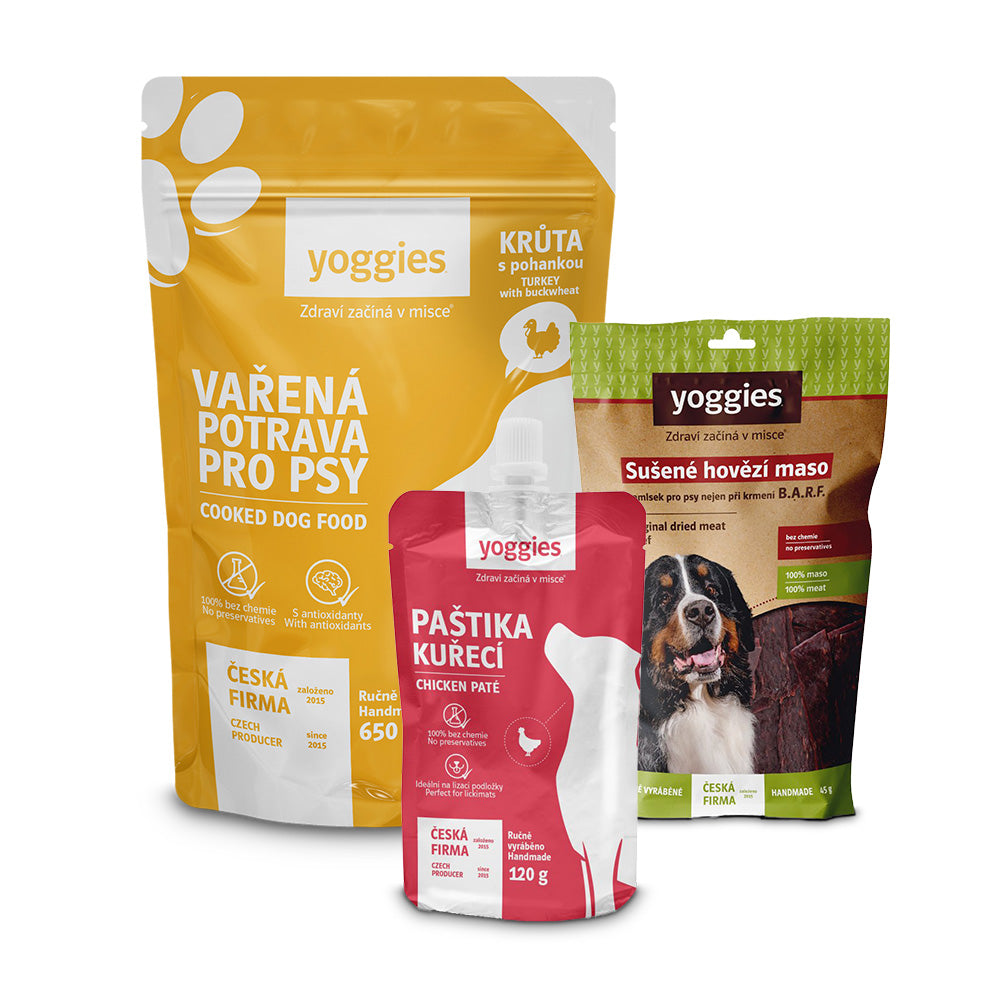 Balíček na výlet pro velkého psa – bez misky