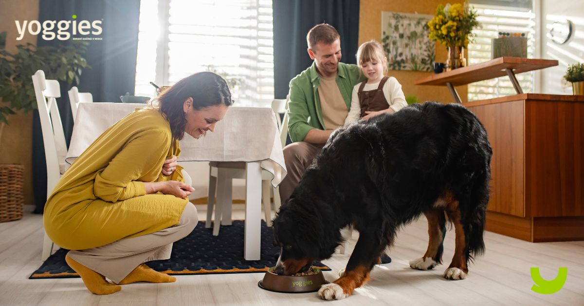 Yoggies | Zdravá krmiva pro vaše chlupáče