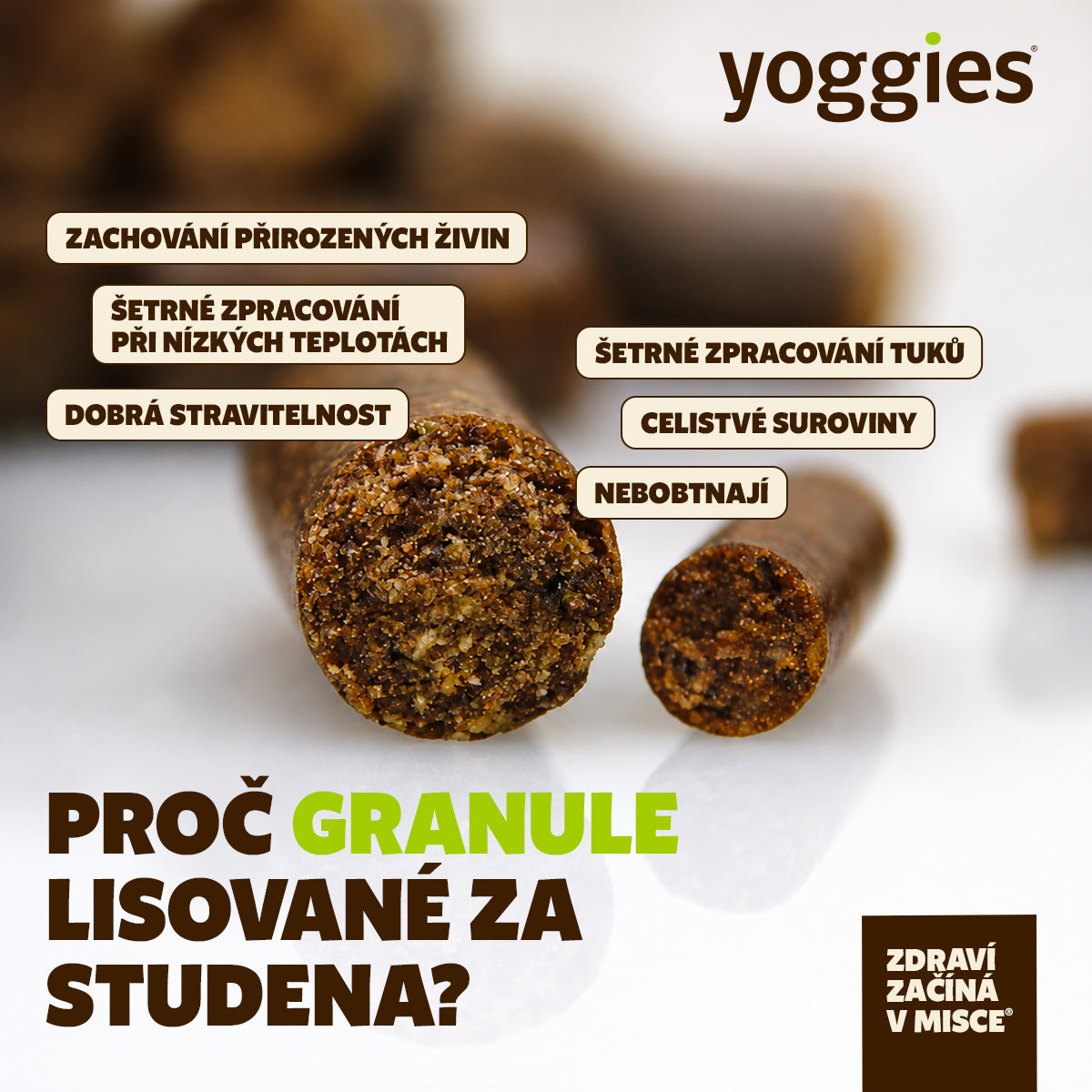 5 kg Yoggies Cat "Basic" granule pro kočky lisované za studena s probiotiky + DÁREK