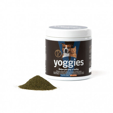 Kompletní průvodce vitamínů pro psy