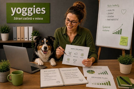 B2B & Trade marketing specialist