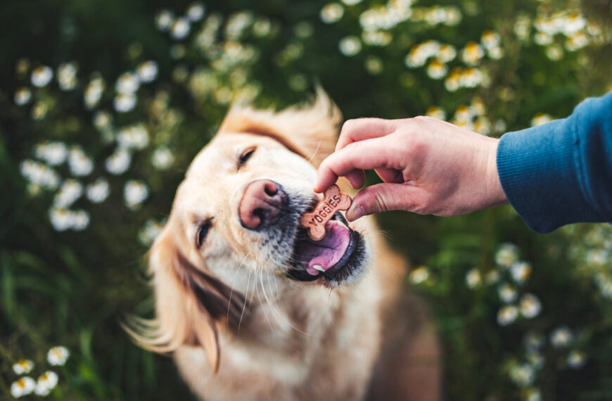 Hoe we erin slaagden de kosten te verlagen en de kwaliteit te behouden (of te verhogen)