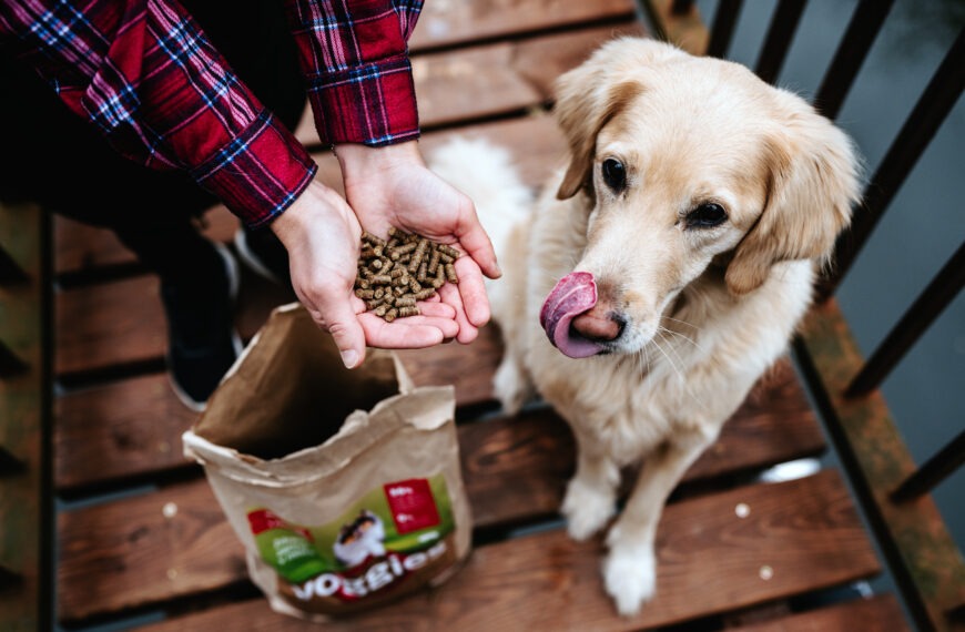 Holistisch hondenvoer