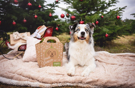 Tipy na dárky pro psy a pejskaře na Vánoce – inspirujte se