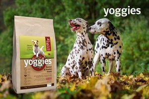 Jak vybrat kvalitní granule pro psa a nenaletět při nákupu