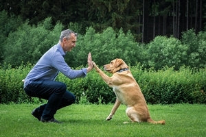 Co jsou a jaké výhody pro psy mají granule lisované za studena?