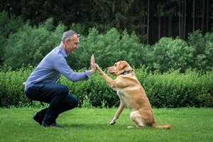 Co jsou a jaké výhody pro psy mají granule lisované za studena?