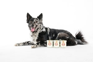 Yoghurt voor honden en katten Yoggies