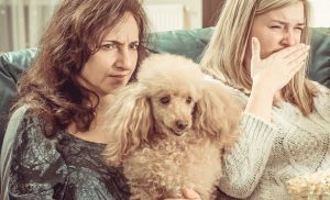 Proč psi trpí průjmy a prdí?