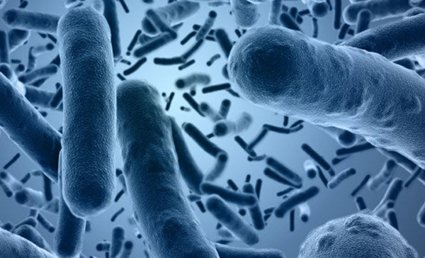Granule lisované za studena Yoggies a probiotika
