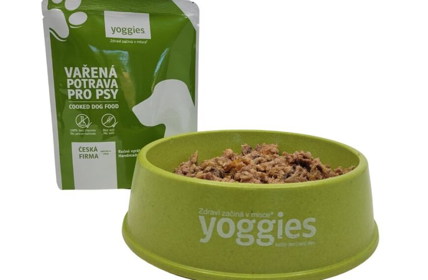 Wat maakt gekookt hondenvoer goed?