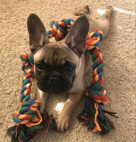 Abel