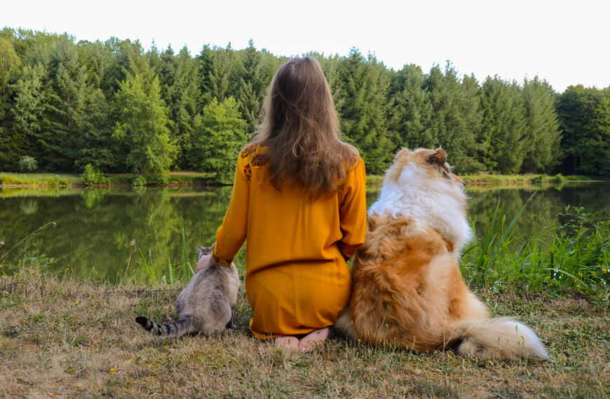 Weet jij hoe een hond zijn liefde toont?