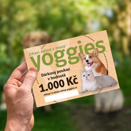 Dárkový poukaz v hodnotě 1.000,- Kč