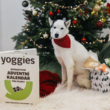 Yoggies Interaktivní Adventní kalendář