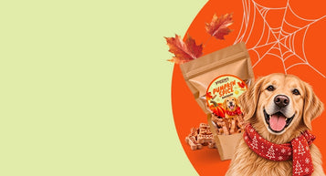 Static banner 1