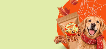 Static banner 1