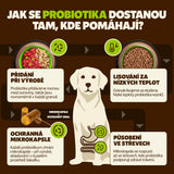 2 kg Yoggies VET Veggie bez masa, granule lisované za studena s probiotiky