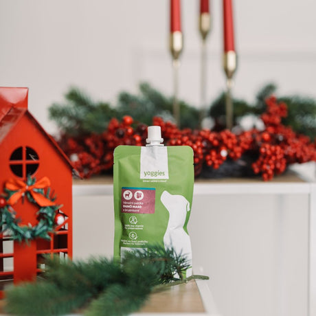 Yoggies Vánoční paštika - Dančí maso s brusinkami 120 g