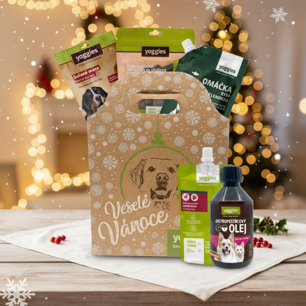 Vánoční taška pod stromeček pro psa