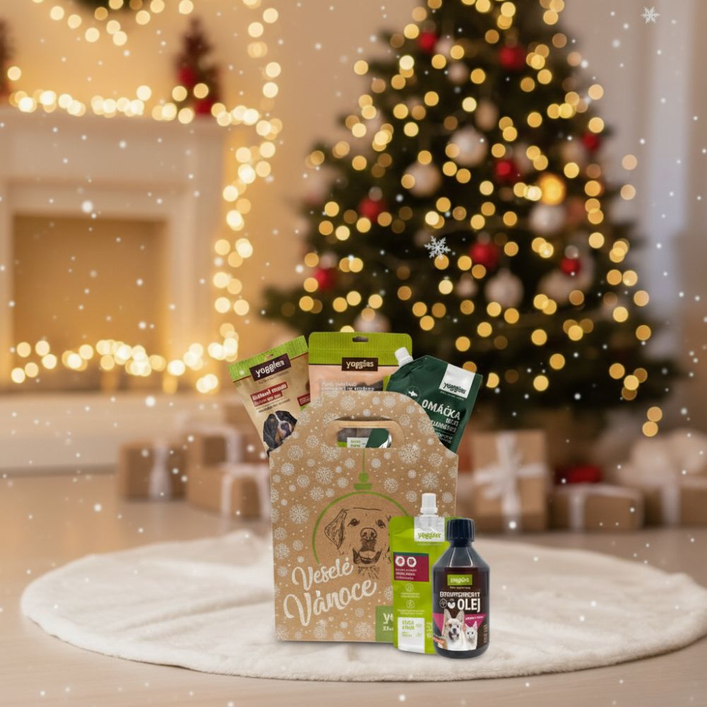 Vánoční taška pod stromeček pro psa