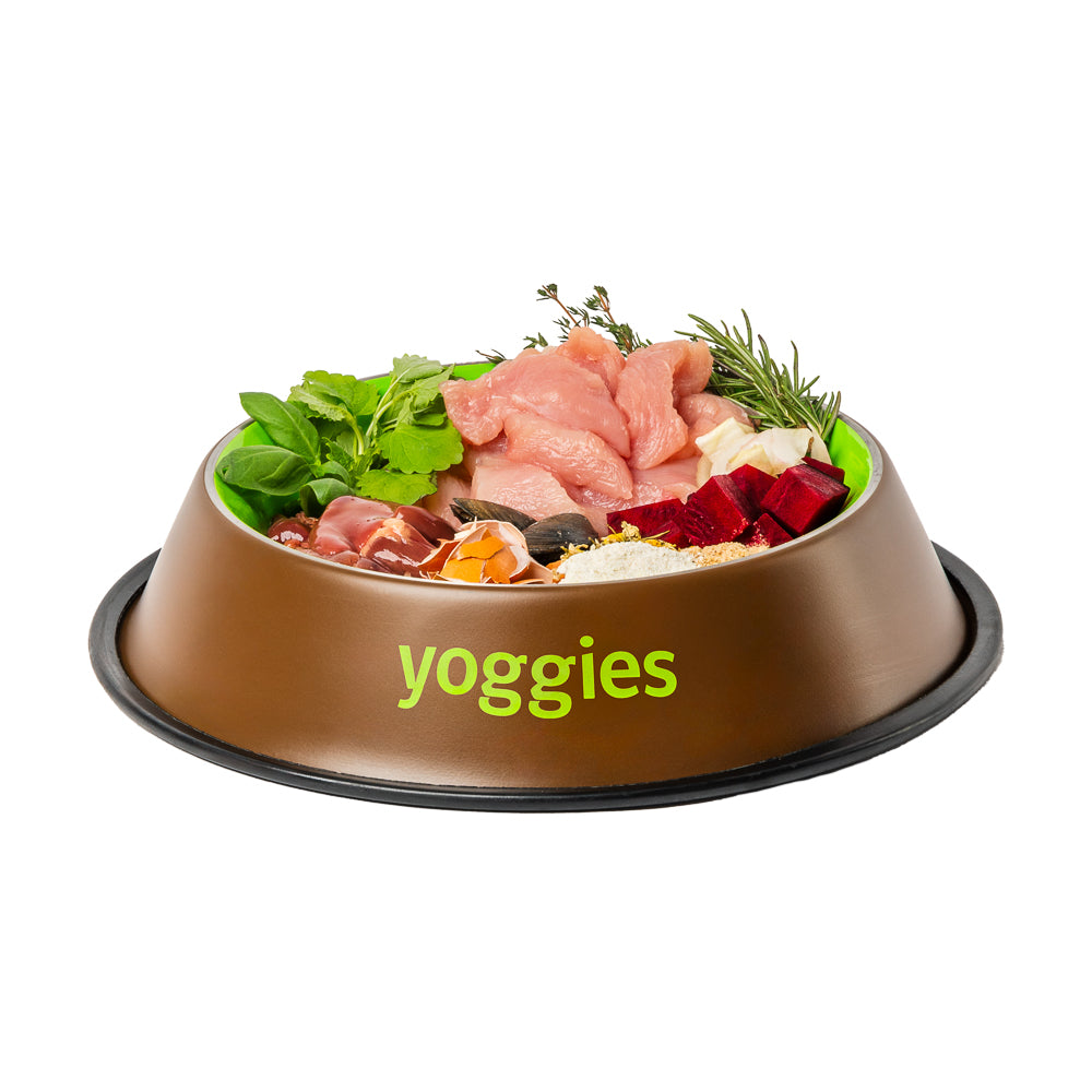 4,8 kg Yoggies Granule pro kočky s kuřecím masem lisované za studena s probiotiky + DÁREK ZDARMA