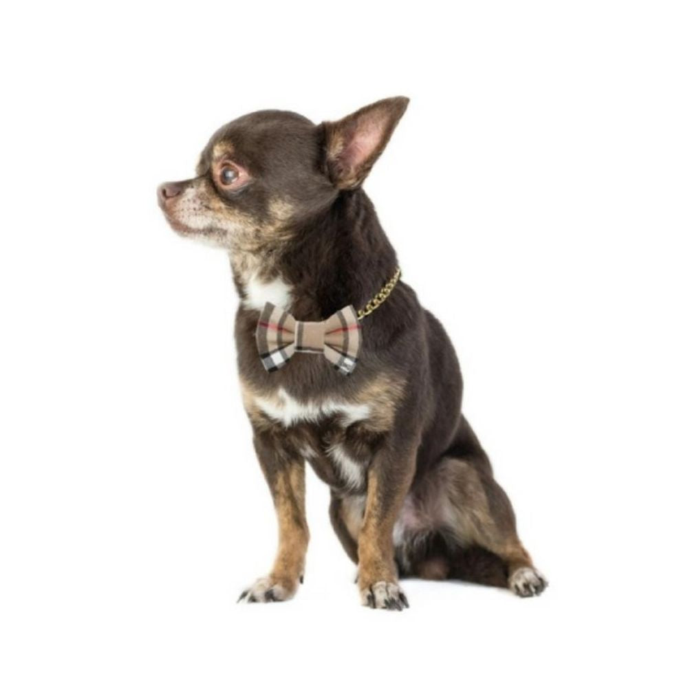 Burberry motýlek pro psa