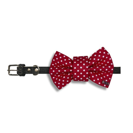 Červený psí motýlek s puntíky