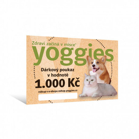 Dárkový poukaz v hodnotě 1.000,- Kč